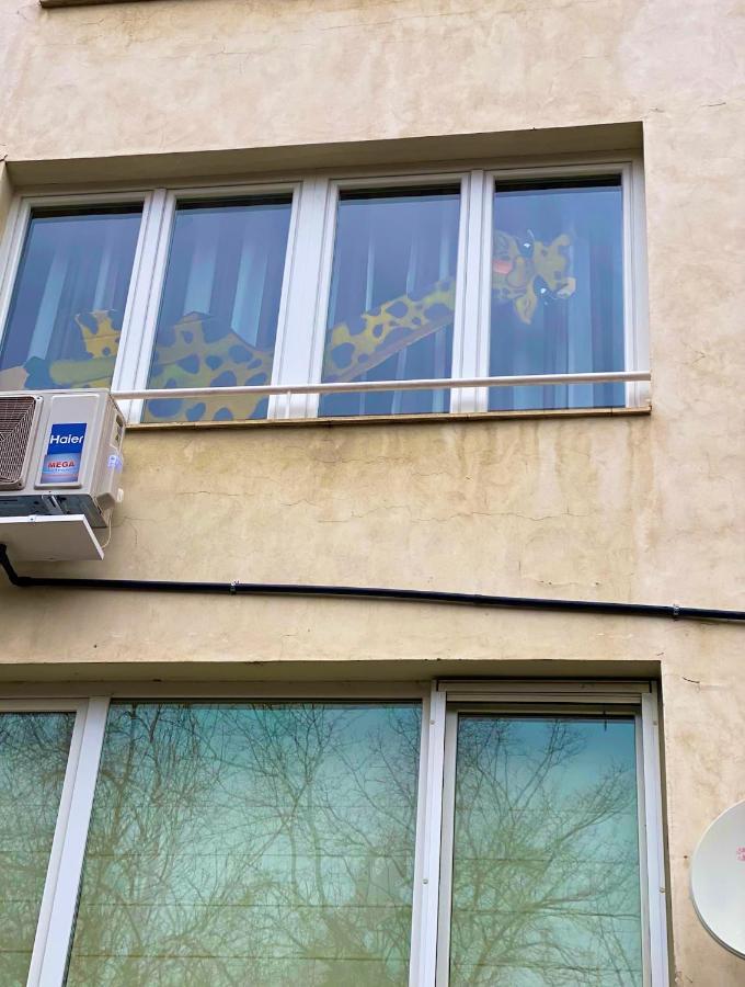 Spacious Apartment Next To South Park Просторен Апартамент До Южен Парк Top Location 索菲亞 外观 照片